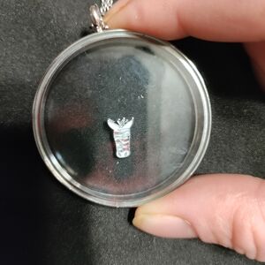 Zebra Floating Locket Charm